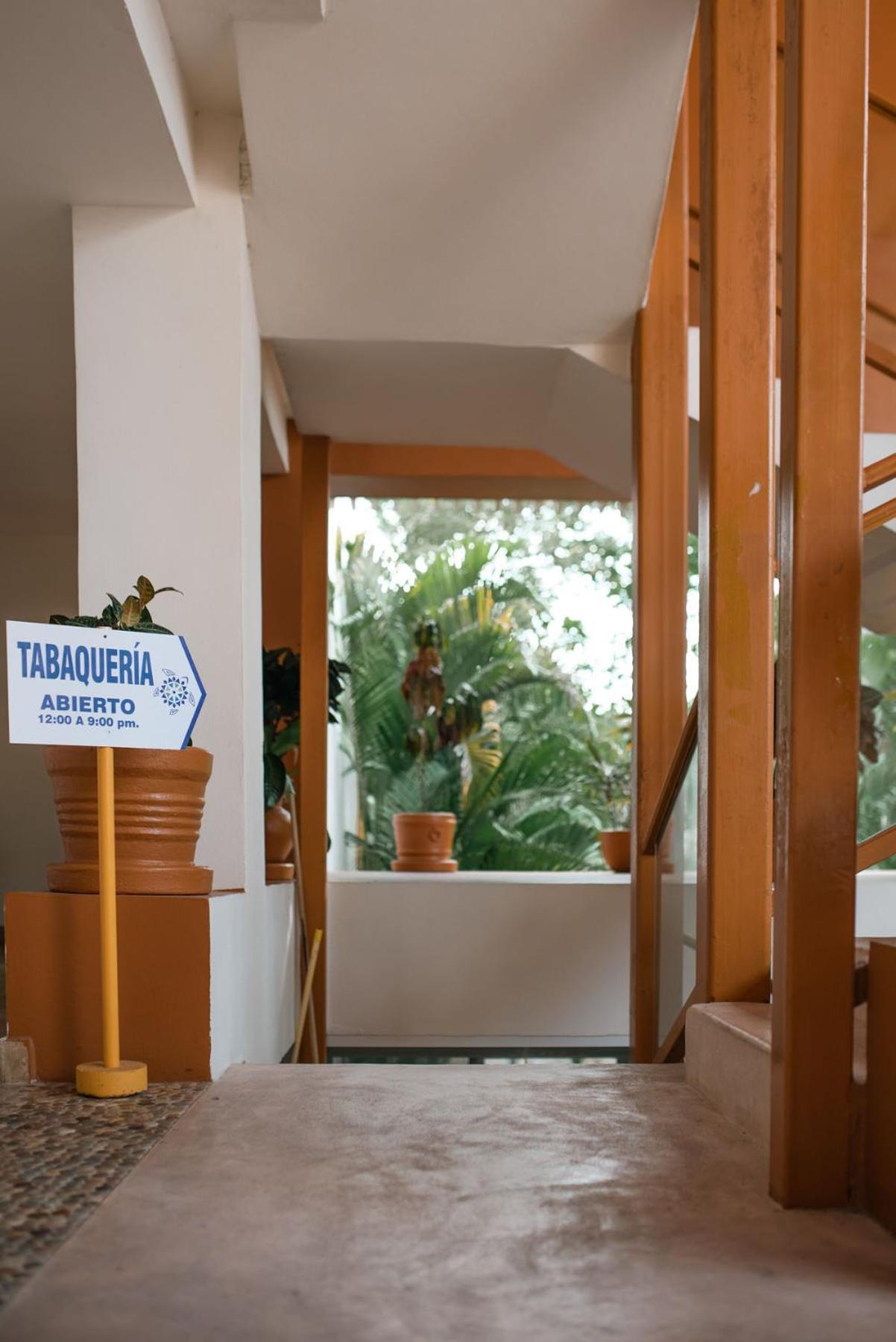 Hotel Ixzi Plus Ixtapa  Exteriér fotografie