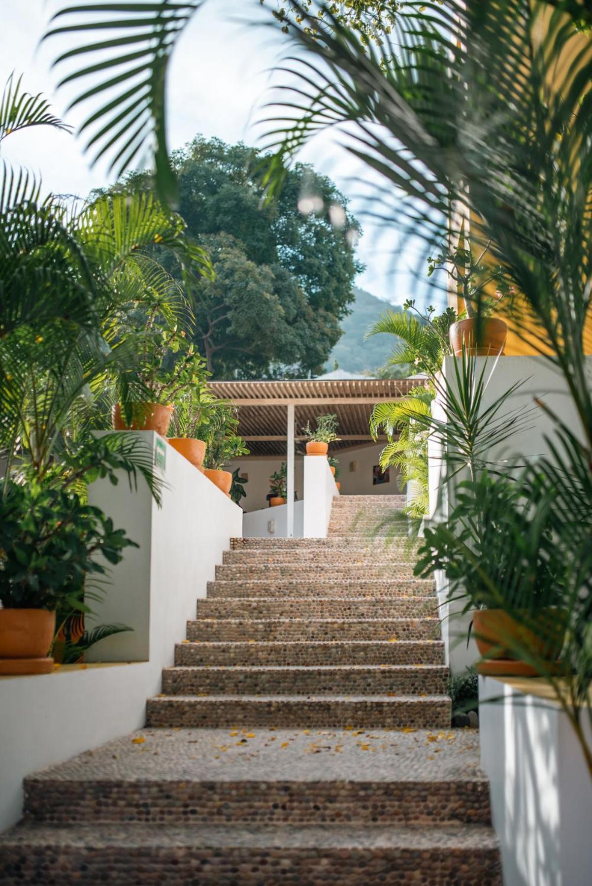 Hotel Ixzi Plus Ixtapa  Exteriér fotografie